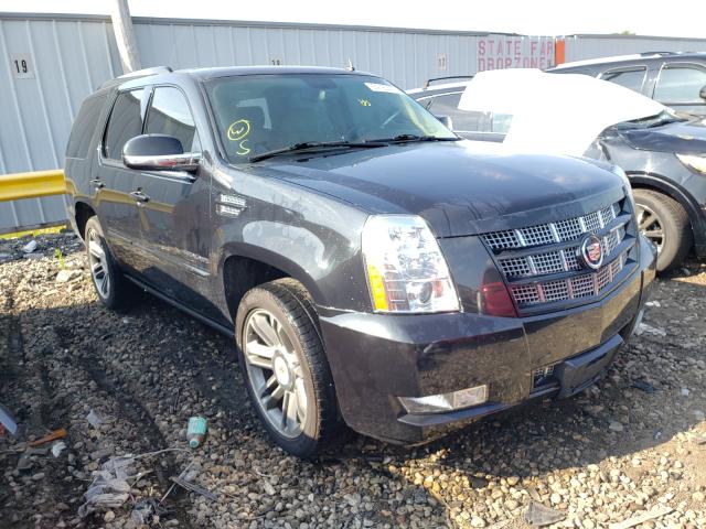 CADILLAC ESCALADE P 2013 1gys4cef4dr232009