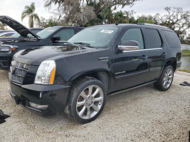 CADILLAC ESCALADE P 2013 1gys4cef4dr302866