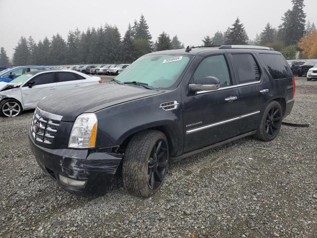 CADILLAC ESCALADE P 2011 1gys4cef5br155924