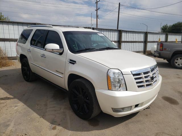 CADILLAC ESCALADE P 2011 1gys4cef5br167572