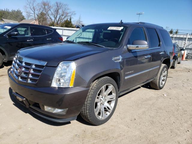 CADILLAC ESCALADE P 2011 1gys4cef5br186705