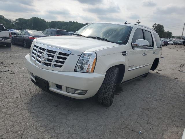 CADILLAC ESCALADE P 2011 1gys4cef5br198823