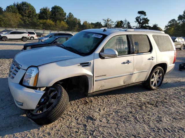 CADILLAC ESCALADE 2011 1gys4cef5br395894