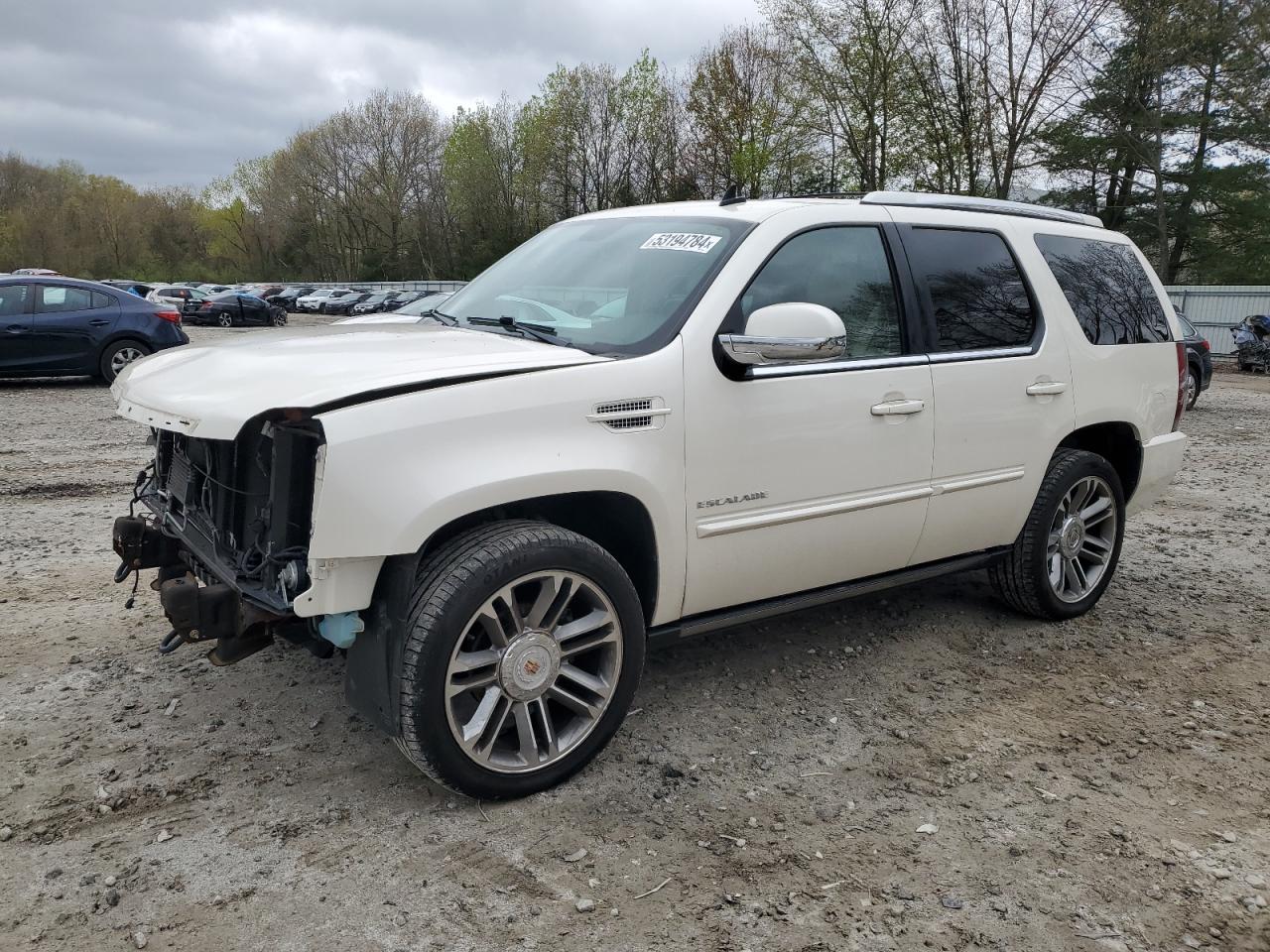 CADILLAC ESCALADE 2013 1gys4cef5dr247098