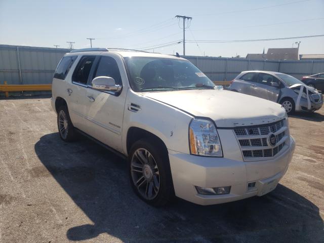 CADILLAC ESCALADE P 2013 1gys4cef5dr257176