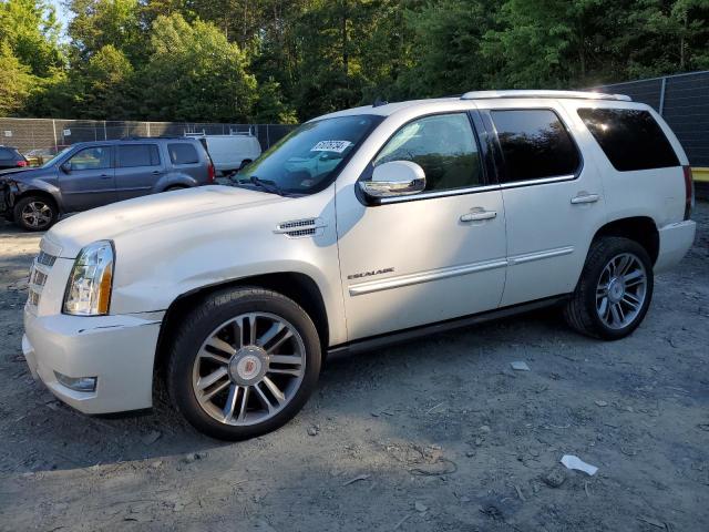 CADILLAC ESCALADE 2013 1gys4cef5dr336363