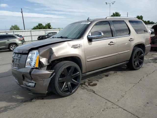 CADILLAC ESCALADE P 2013 1gys4cef5dr379066