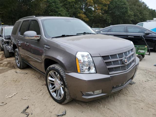 CADILLAC ESCALADE P 2014 1gys4cef5er198826