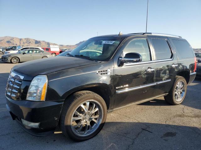 CADILLAC ESCALADE P 2011 1gys4cef6br133267