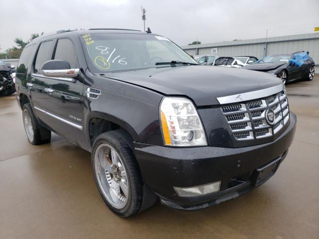 CADILLAC ESCALADE P 2011 1gys4cef6br196482