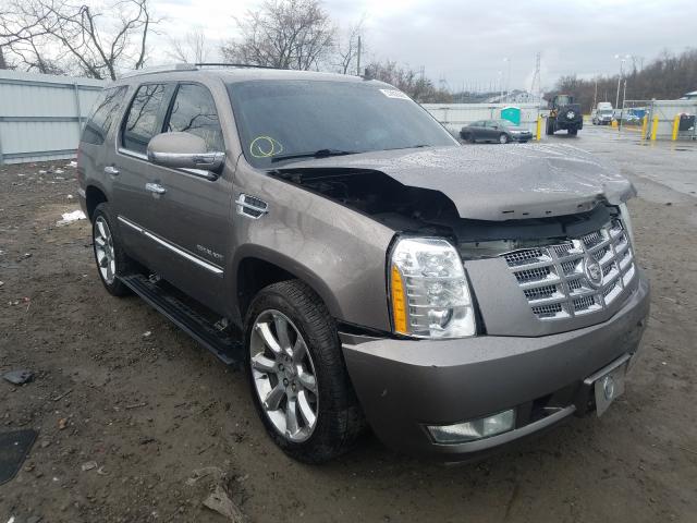 CADILLAC ESCALADE P 2011 1gys4cef6br247205