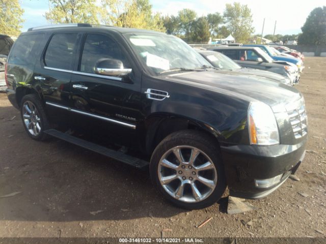 CADILLAC ESCALADE 2011 1gys4cef6br315843