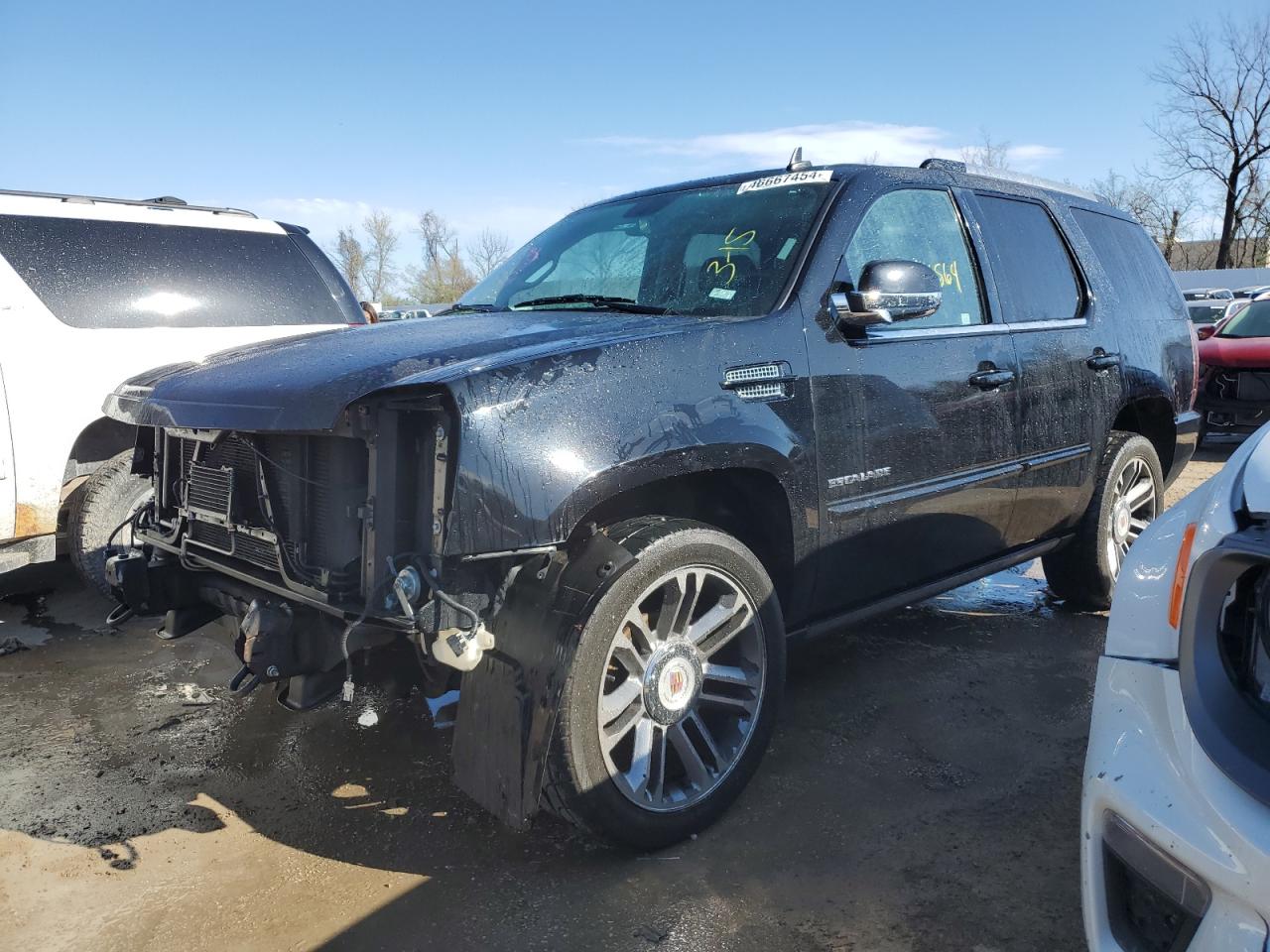 CADILLAC ESCALADE 2012 1gys4cef6cr297149