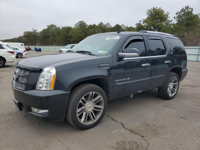 CADILLAC ESCALADE P 2013 1gys4cef6dr207967