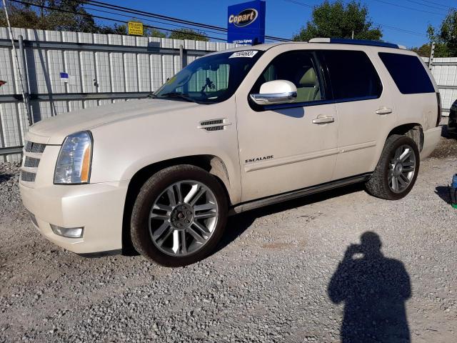 CADILLAC ESCALADE P 2013 1gys4cef6dr305770