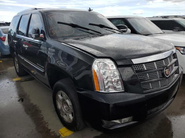 CADILLAC ESCALADE P 2013 1gys4cef6dr347131