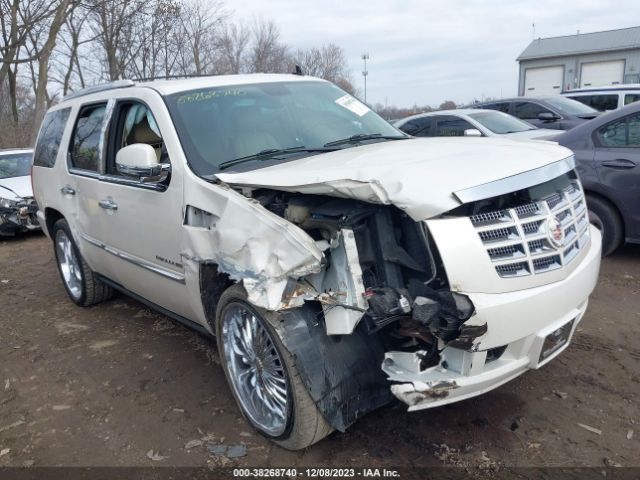 CADILLAC ESCALADE 2011 1gys4cef7br118700