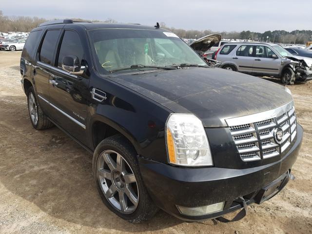 CADILLAC ESCALADE P 2011 1gys4cef7br226833