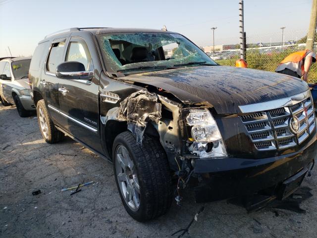 CADILLAC ESCALADE P 2011 1gys4cef7br289107