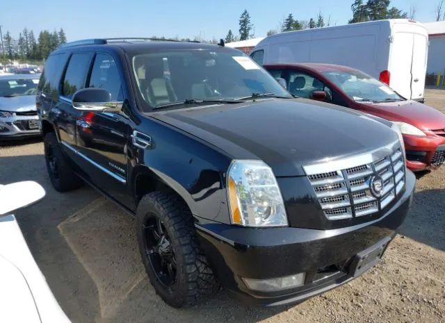 CADILLAC ESCALADE 2011 1gys4cef7br300431