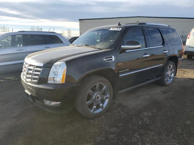 CADILLAC ESCALADE 2011 1gys4cef7br345983