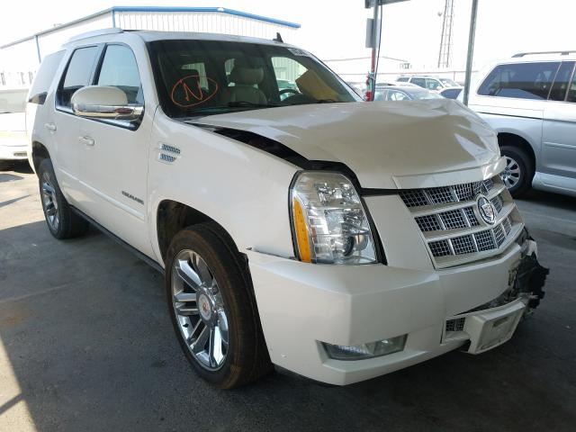 CADILLAC ESCALADE P 2013 1gys4cef7dr232148