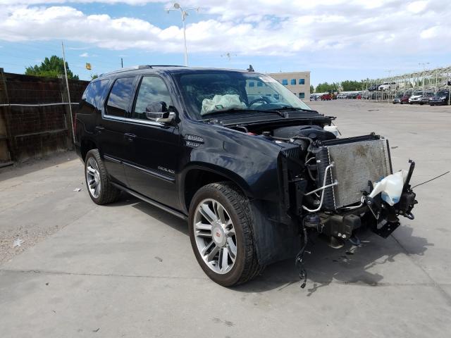 CADILLAC ESCALADE P 2013 1gys4cef7dr287537