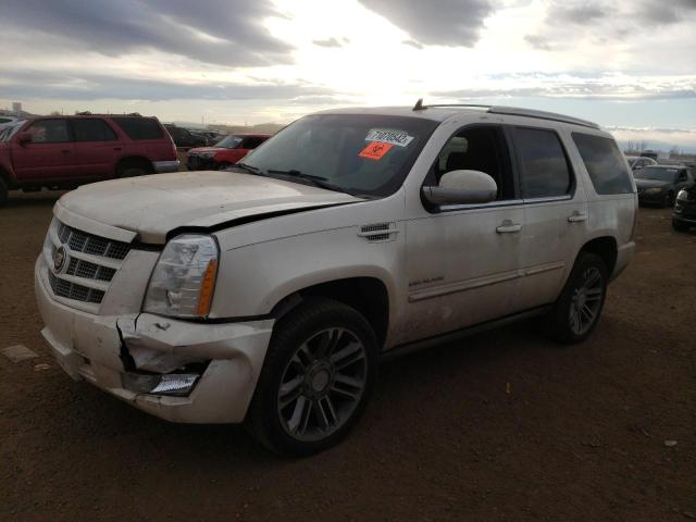 CADILLAC ESCALADE P 2013 1gys4cef7dr299073