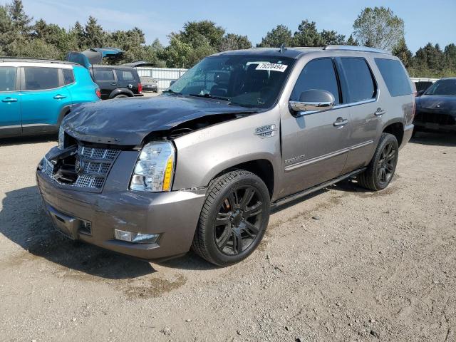 CADILLAC ESCALADE P 2014 1gys4cef7er245497