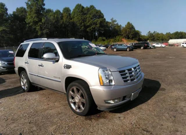 CADILLAC ESCALADE 2011 1gys4cef8br104532