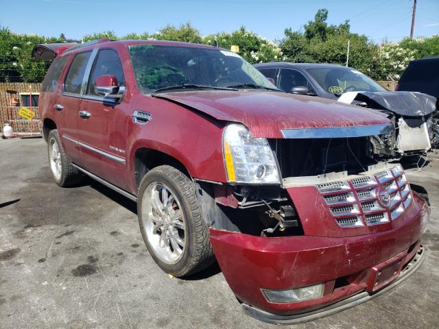 CADILLAC ESCALADE P 2011 1gys4cef8br127857