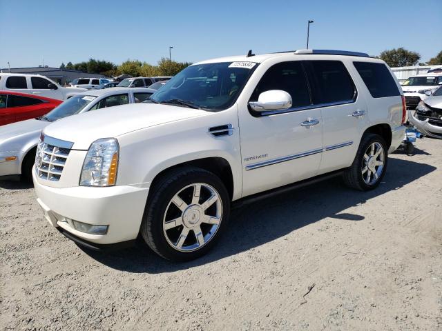 CADILLAC ESCALADE P 2011 1gys4cef8br137188