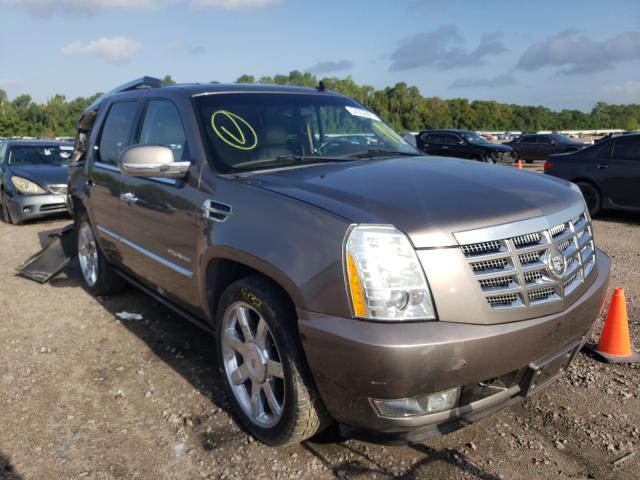 CADILLAC ESCALADE P 2011 1gys4cef8br149373