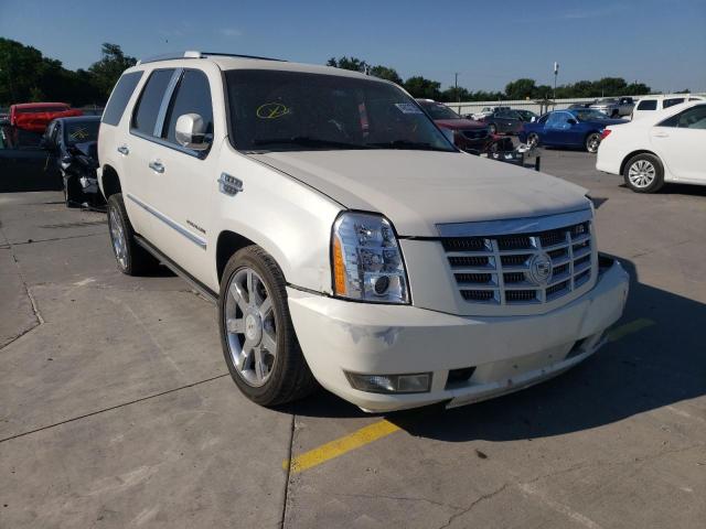 CADILLAC ESCALADE P 2011 1gys4cef8br213539