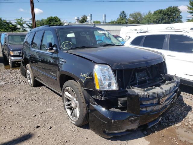 CADILLAC ESCALADE P 2013 1gys4cef8dr149490