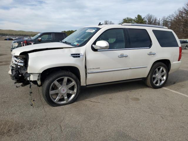 CADILLAC ESCALADE 2011 1gys4cef9br105253