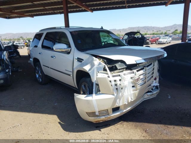 CADILLAC ESCALADE 2011 1gys4cef9br137698