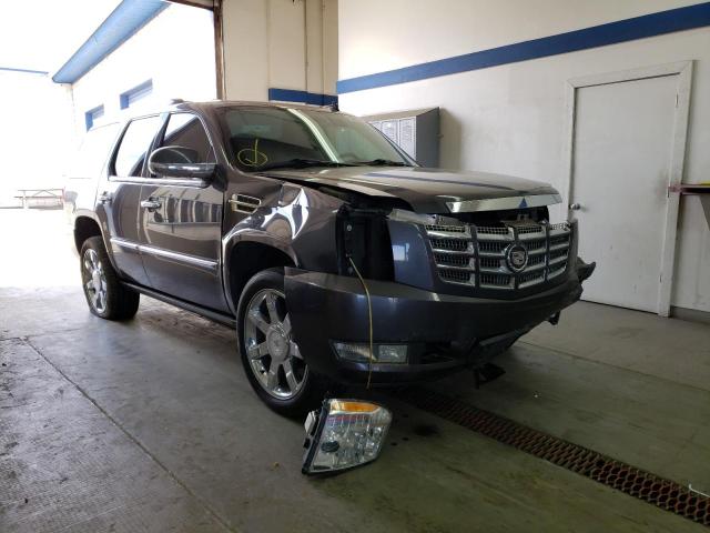 CADILLAC ESCALADE P 2011 1gys4cef9br145204