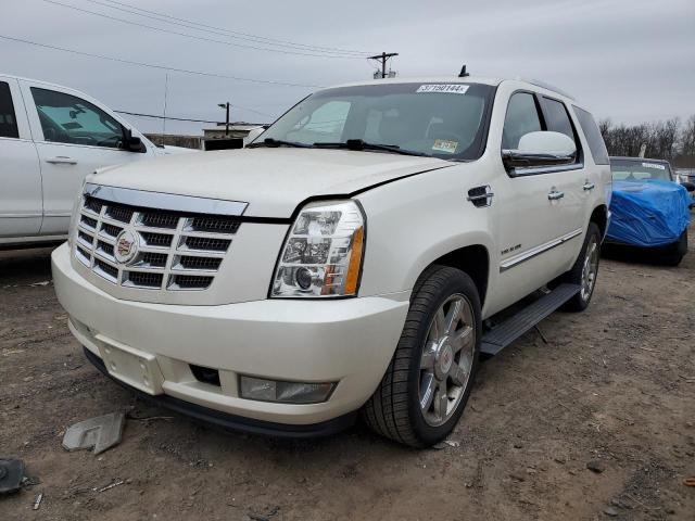 CADILLAC ESCALADE 2011 1gys4cef9br169910