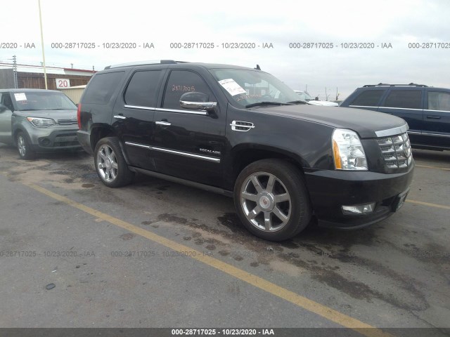 CADILLAC ESCALADE 2011 1gys4cef9br302634