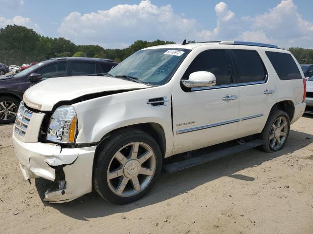 CADILLAC ESCALADE 2011 1gys4cef9br321491