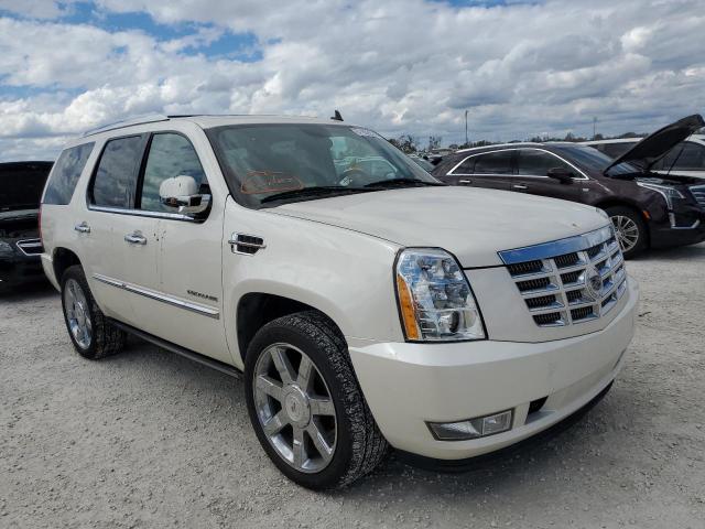 CADILLAC ESCALADE P 2011 1gys4cef9br321555