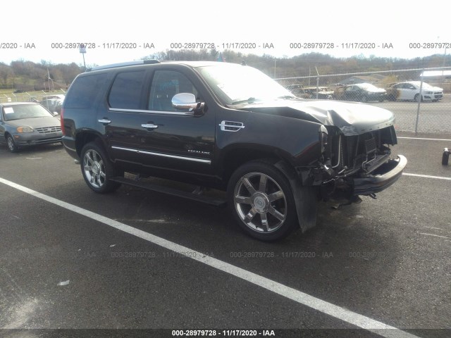 CADILLAC ESCALADE 2011 1gys4cef9br388219