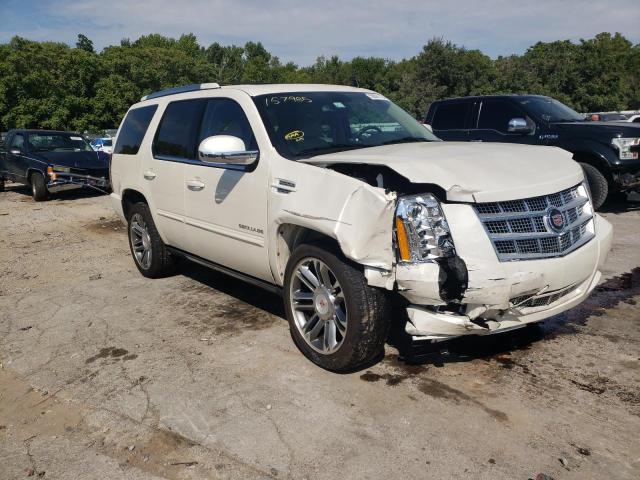 CADILLAC ESCALADE P 2013 1gys4cef9dr157985