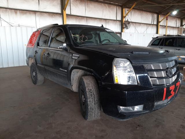 CADILLAC ESCALADE P 2013 1gys4cef9dr377756