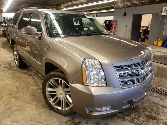 CADILLAC ESCALADE P 2014 1gys4cef9er100347