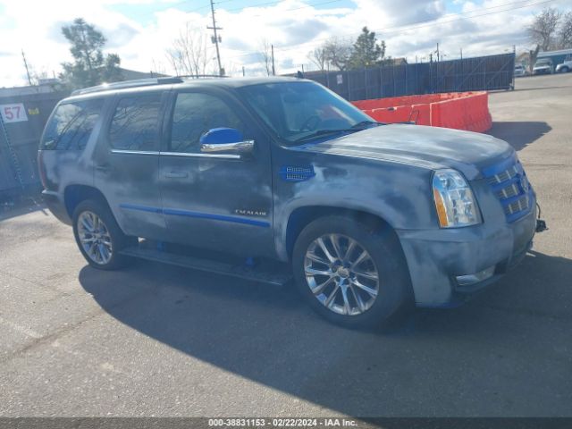 CADILLAC ESCALADE 2014 1gys4cef9er147152