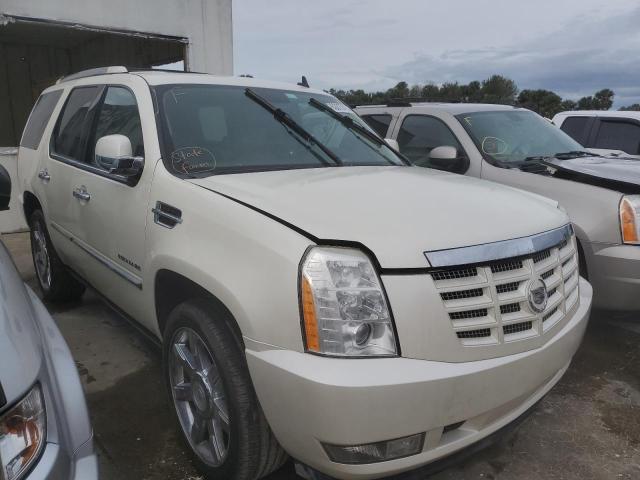 CADILLAC ESCALADE P 2011 1gys4cefxbr162660