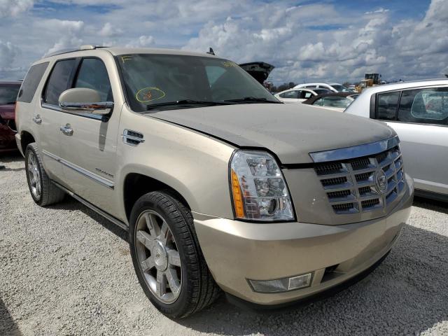 CADILLAC ESCALADE P 2011 1gys4cefxbr172380