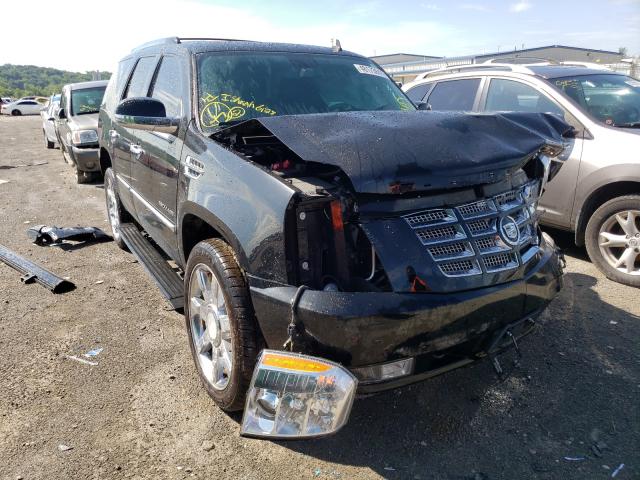 CADILLAC ESCALADE P 2011 1gys4cefxbr220881